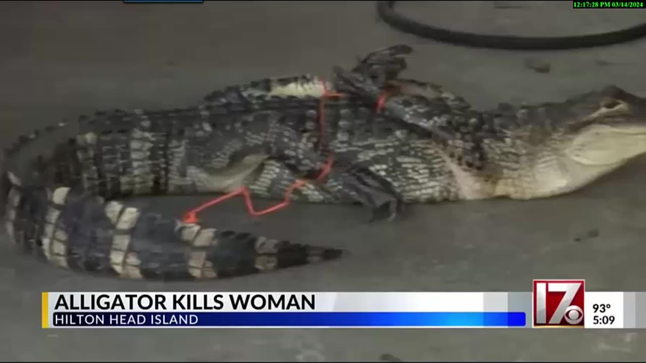 SC Neighborhood Gator Attack