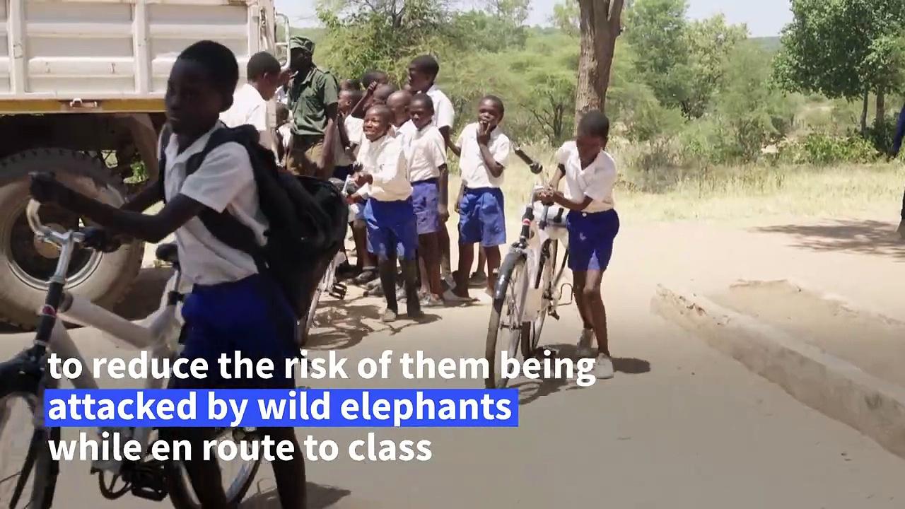 Zimbabwean schoolkids given bikes to escape elephant danger