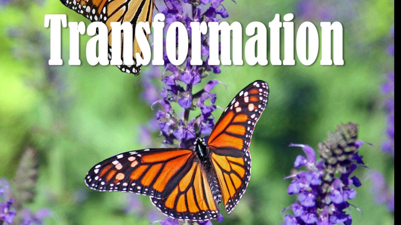 Transformation - John 3:16 C.M. Thursday Night in the Word LIVE Stream 3/14/2024