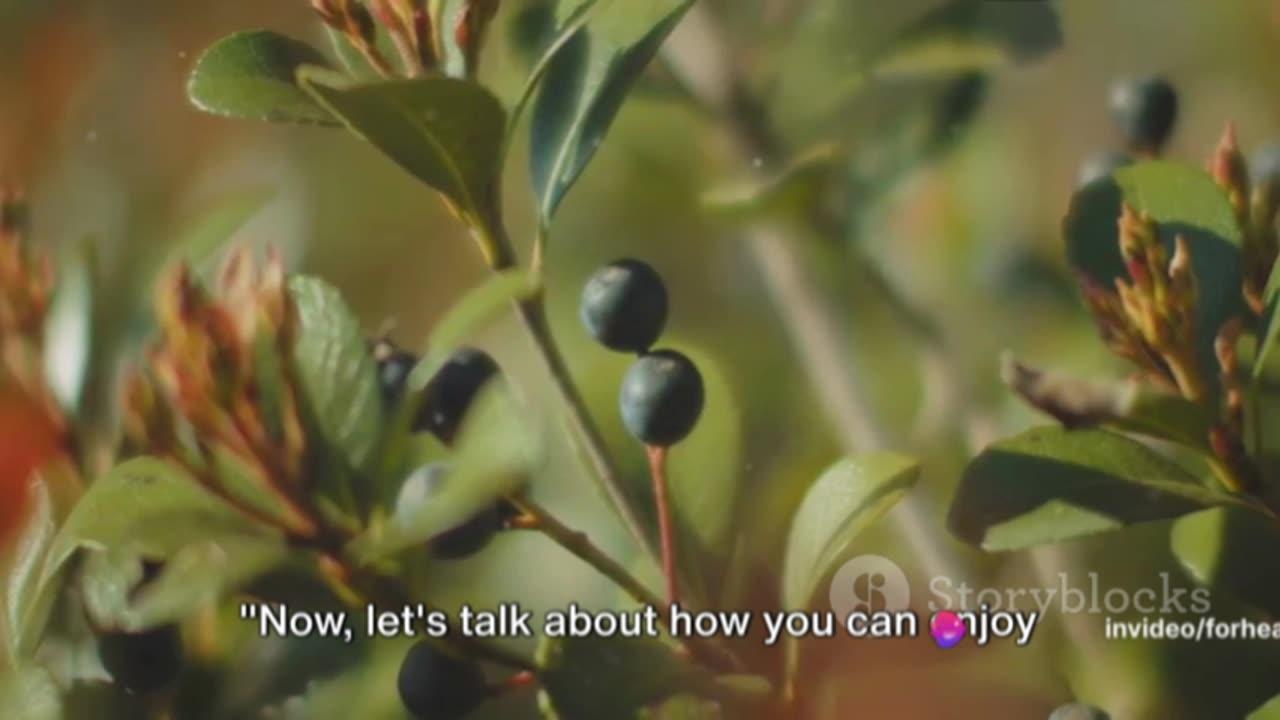 Juniper Berries: The Secret Flavor Booster with Surprising Health Benefits