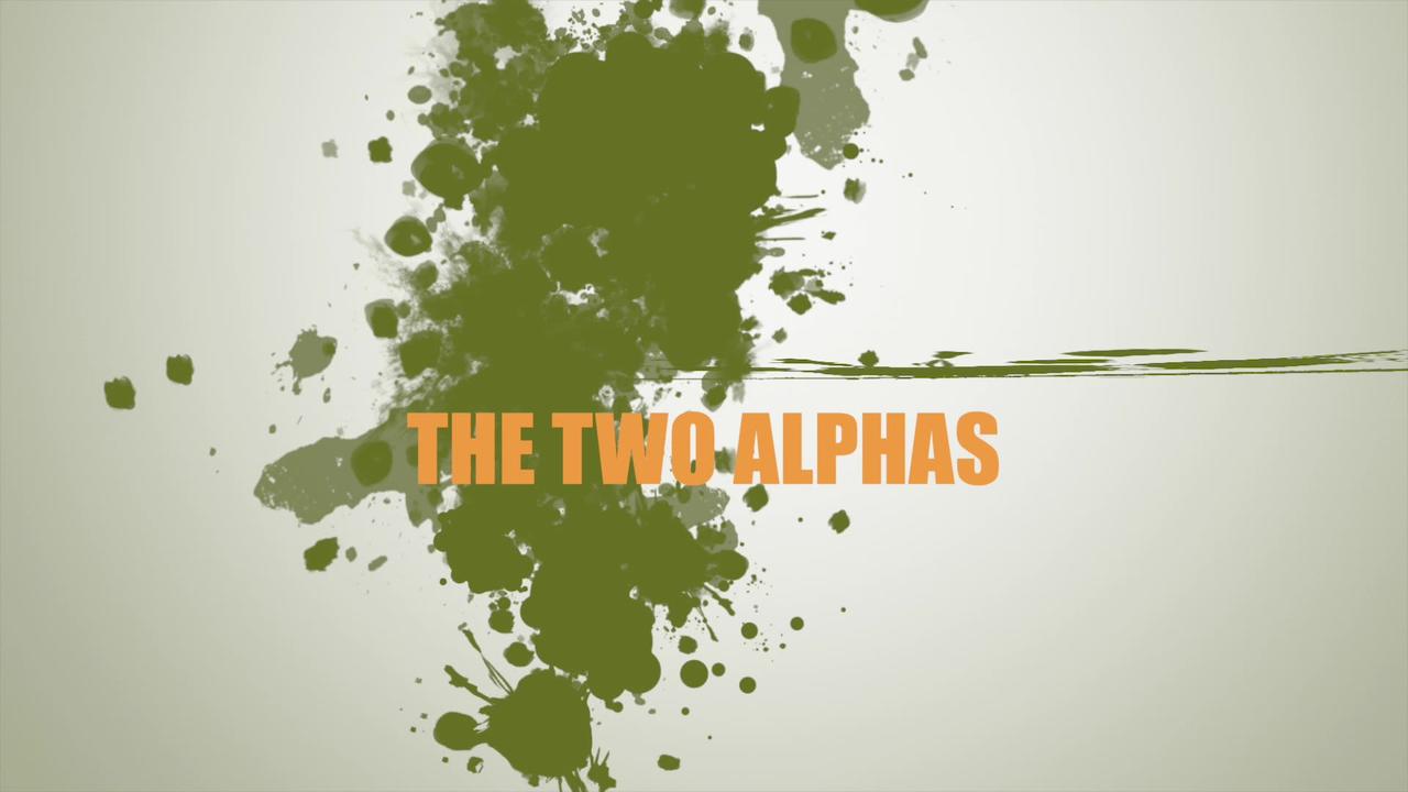The Two Alpha's Talk Live - 3/15/24 Large, medium or small carry gun.