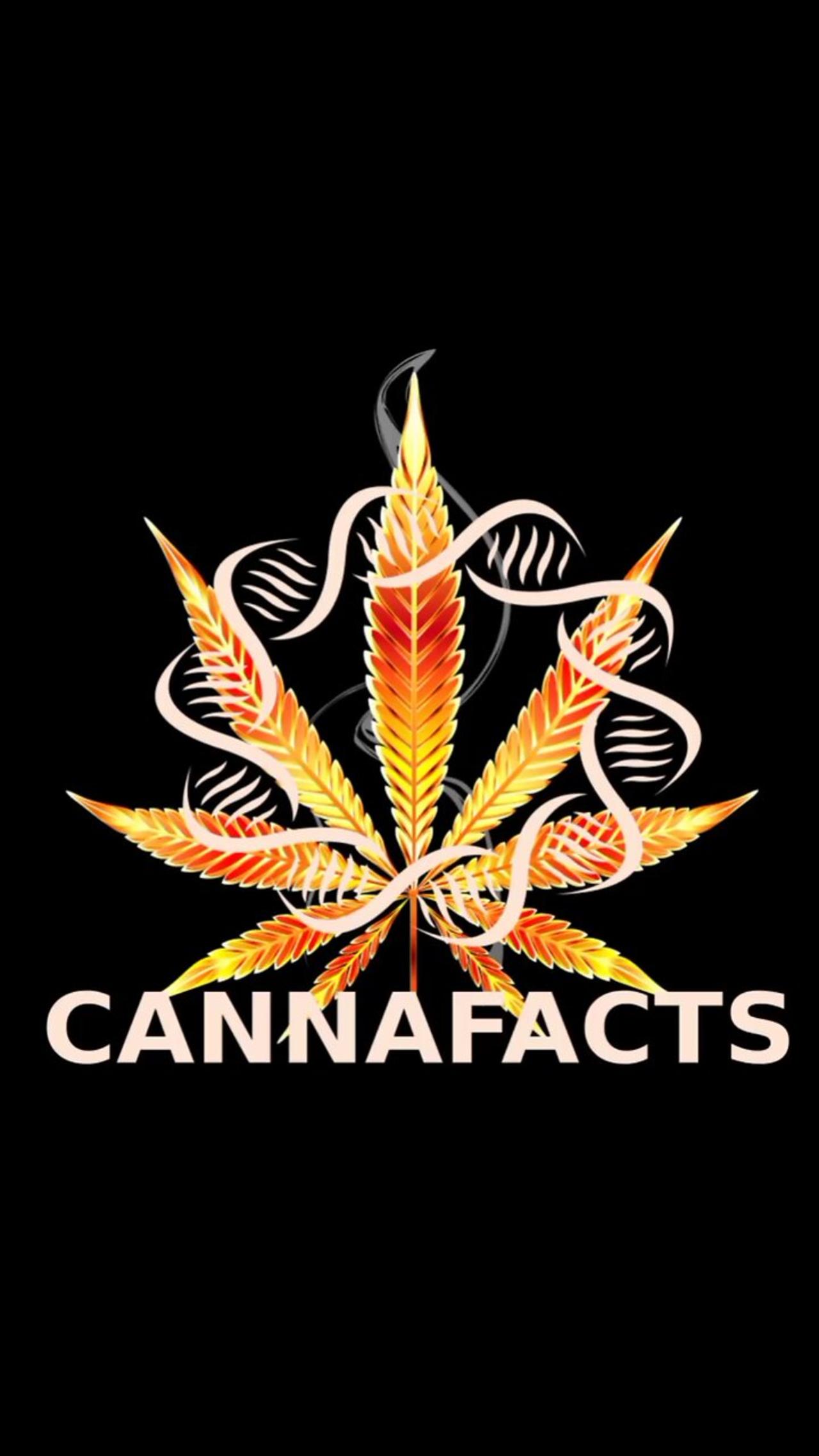 Cannafacts Podcast Episode 1 online now at YouTube Podbean and Spotify