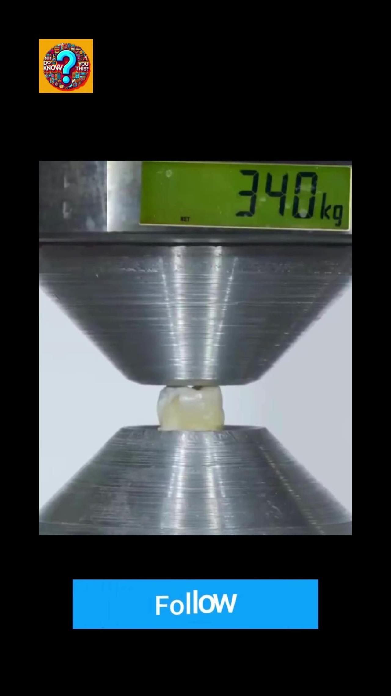 Hydraulic Press vs. Tooth
