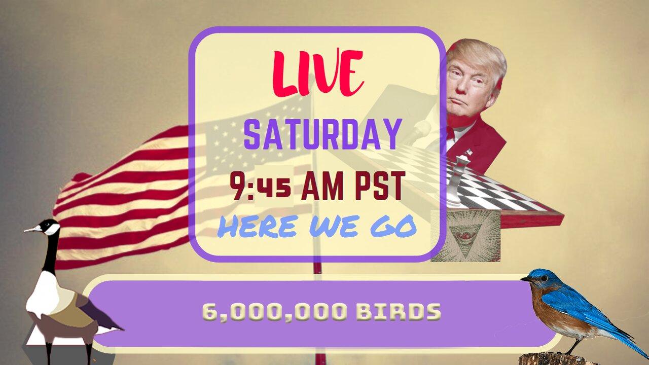 Saturday *LIVE* 6 Million Birds Edition