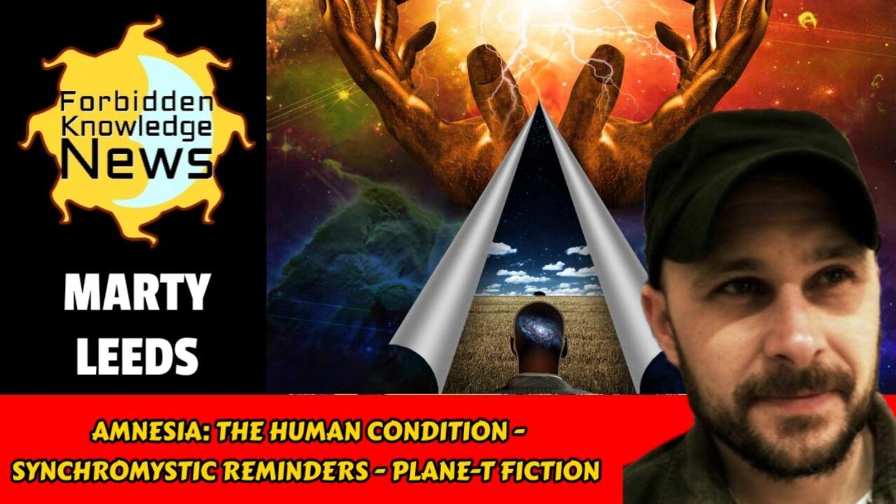 Amnesia: The Human Condition - Synchromystic Reminders - Plane-T Fiction | Marty Leeds
