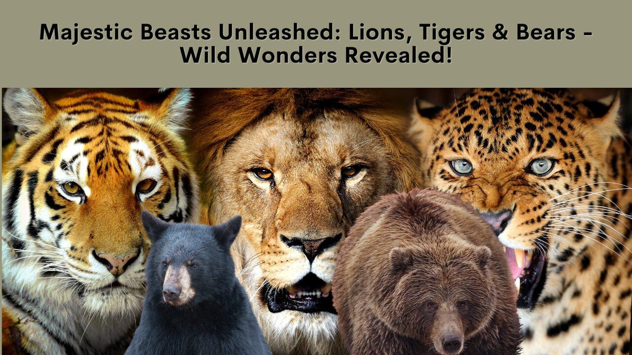 Majestic Beasts Unleashed: Lions, Tigers & Bears - Wild Wonders Revealed!