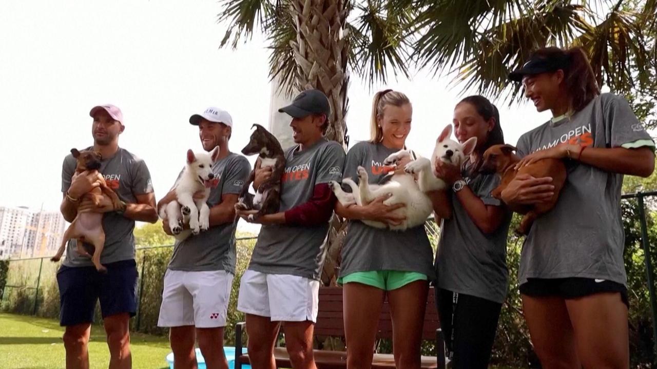 Tennis Stars Serve Up Smiles as They Swap Racquets for Puppy Cuddles in Miami Adoption Center