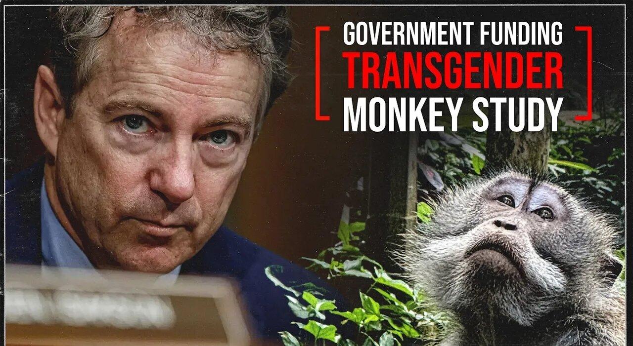 Transgender Monkeys  Rand Pauls List of Grievances