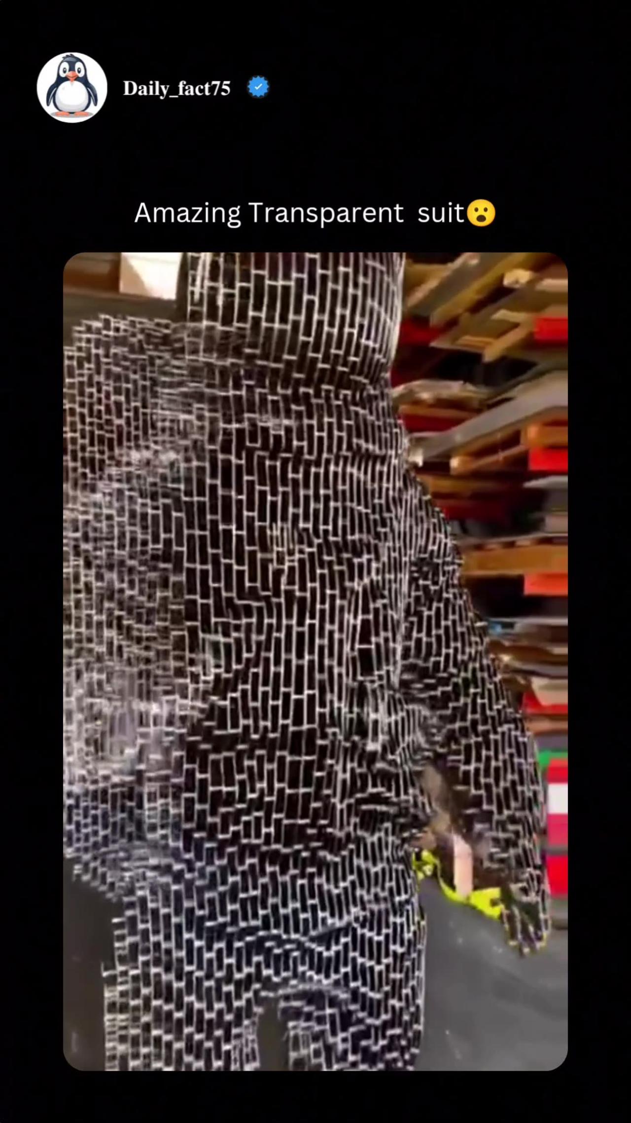 Amazing Transparent dress