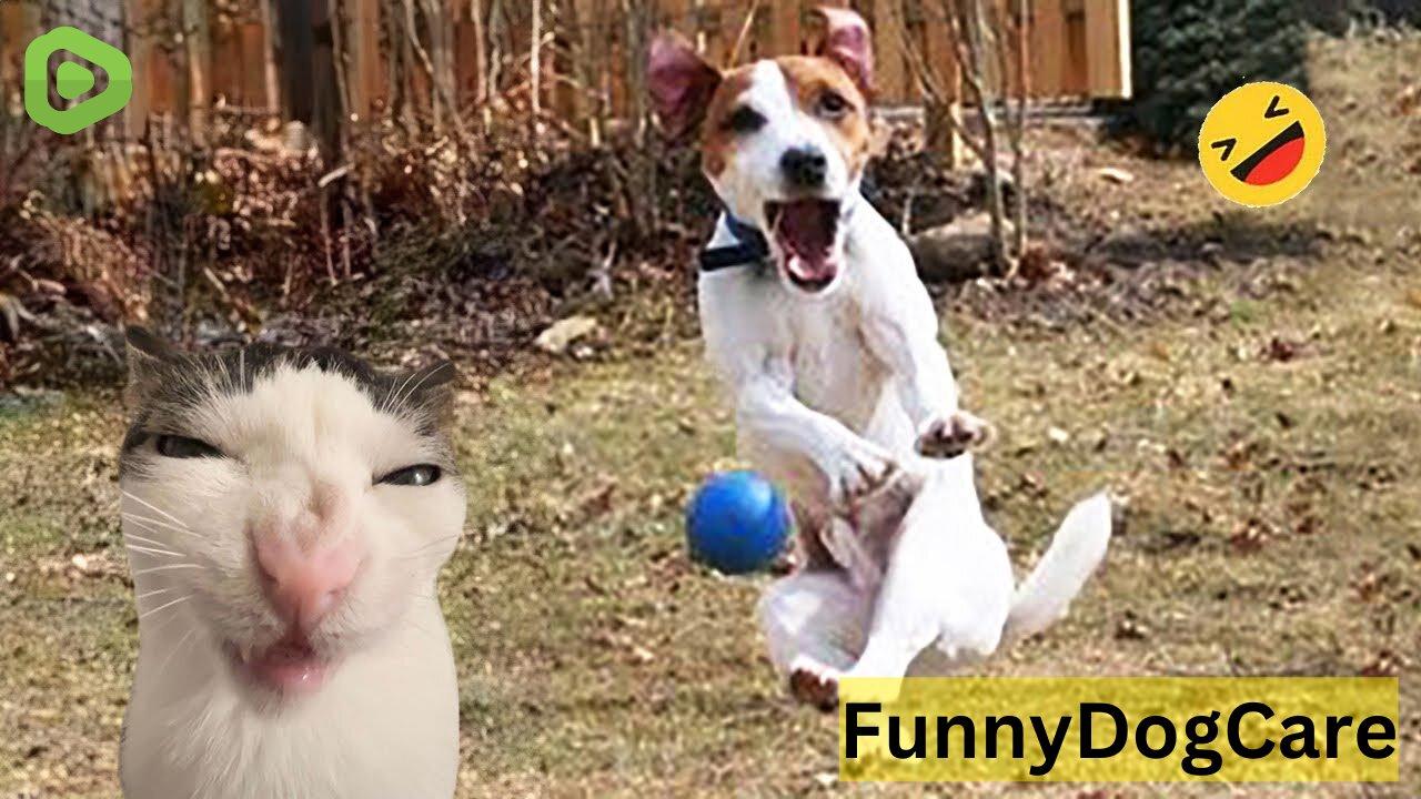 🔴[LIVE] Funny Babies Playing with Dogs Compilation - Funny Baby