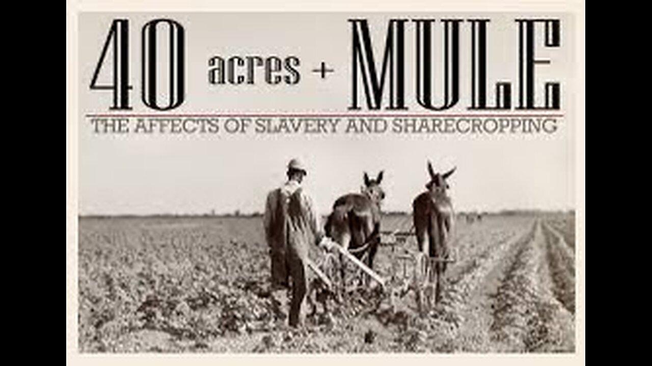 DAC-Land, Promise, and Betrayal: The Legacy of Sherman's 40 Acres and a Mule