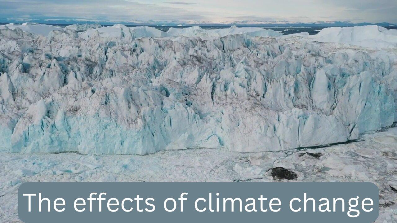 The effects of climate change