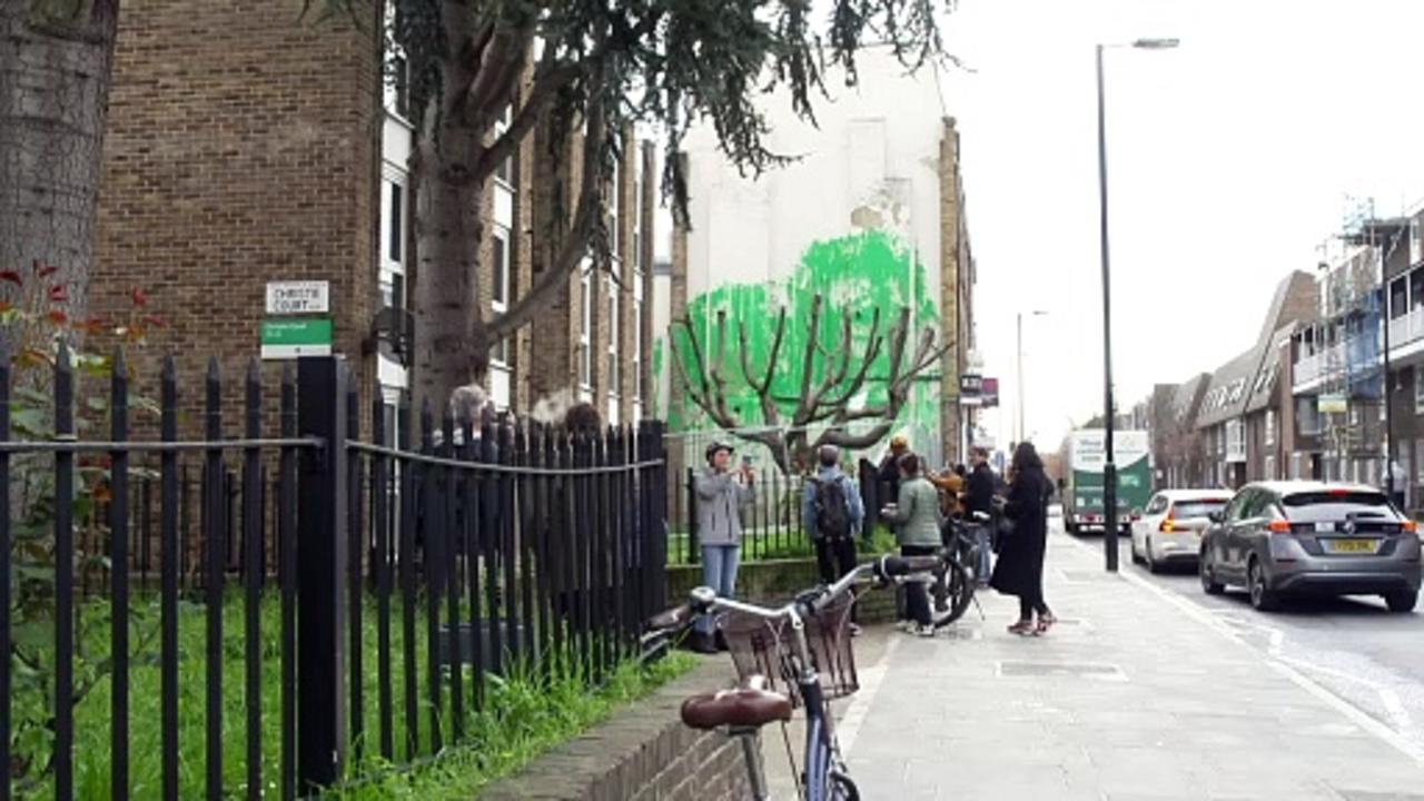 ‘What a pity’: Banksy tree mural defaced with white paint