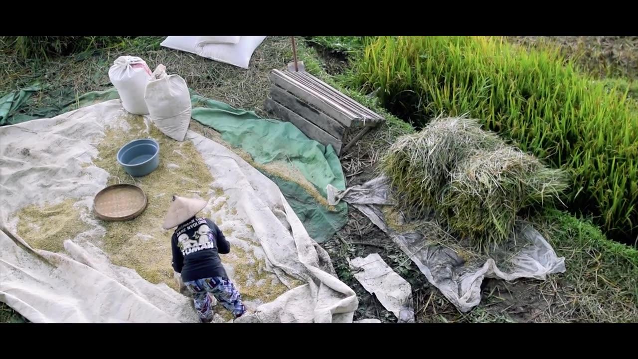 4K Nature Cinematography | Cinematic Background Music
