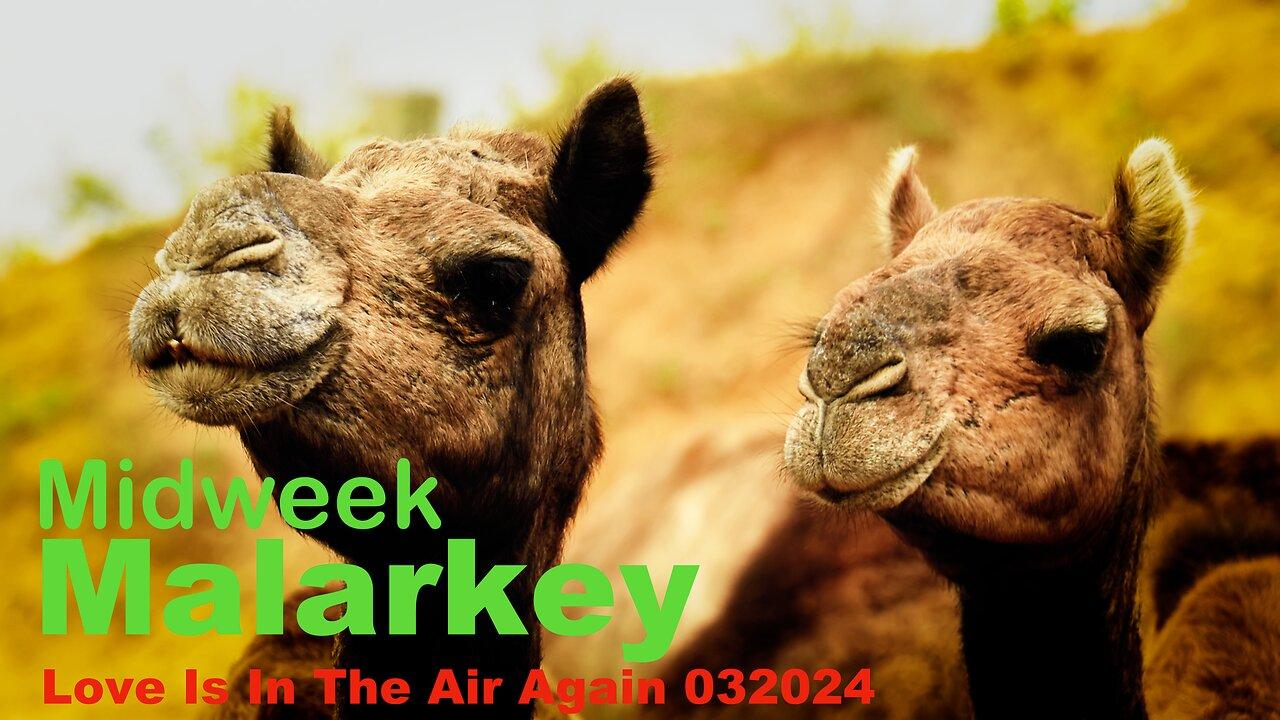 Midweek Malarkey - Love Is In The Air Again 032024