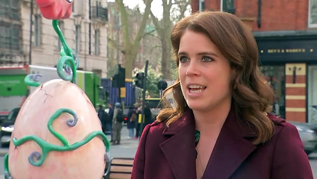 Princess Eugenie launches Elephant Family charity campaign