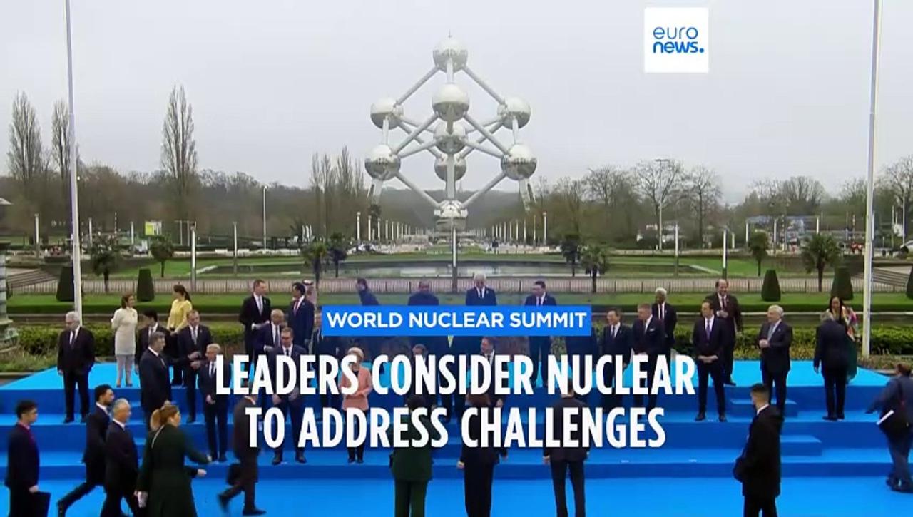 Pro-nuclear 11 member states back declaration at landmark conference
