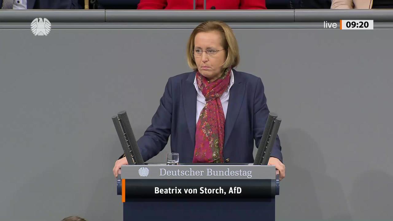 Beatrix von Storch Rede vom 21.03.2024 – Binnenmarkt für digitale Dienste