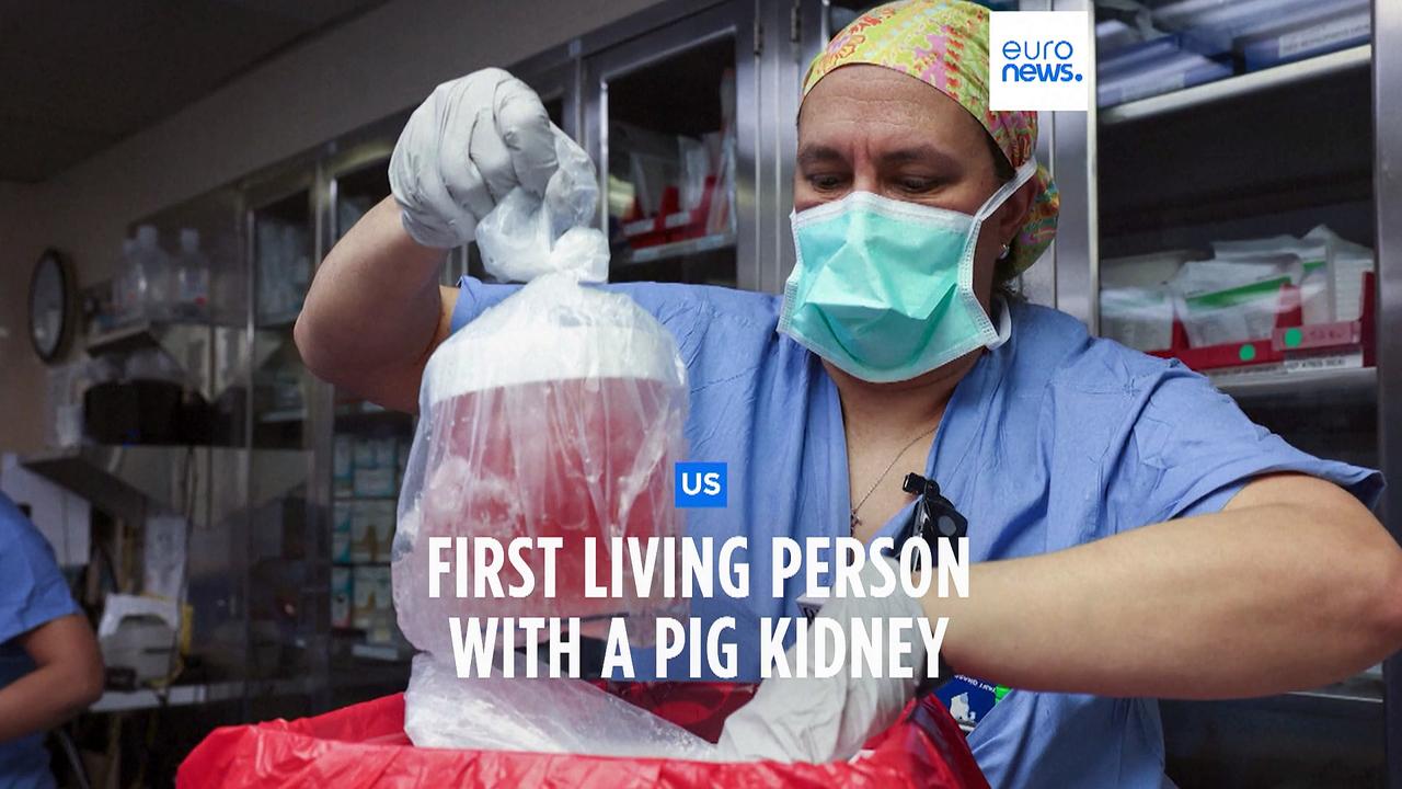 Surgeons perform the world's first pig kidney transplant into a human patient