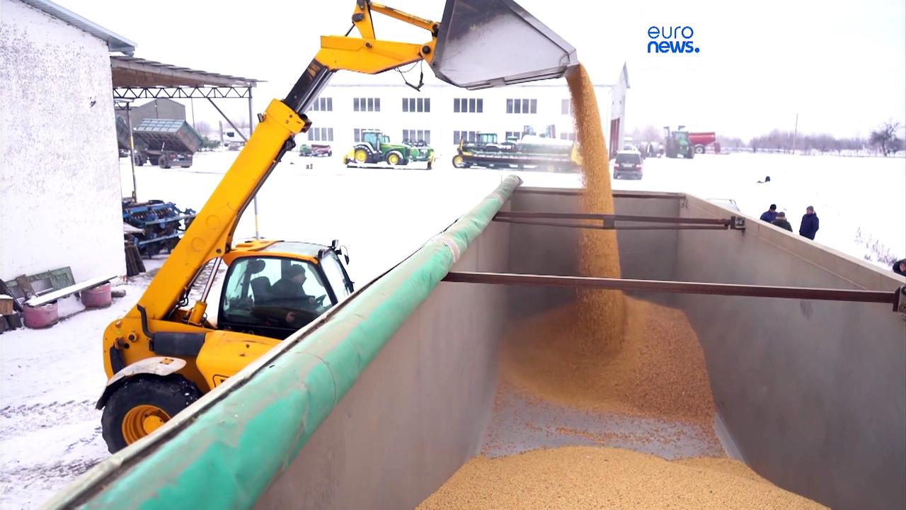 Brussels proposes steep EU tariffs on Russian grain, fearing market turmoil