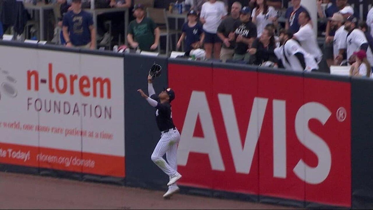 Juan Soto's leaping grab
