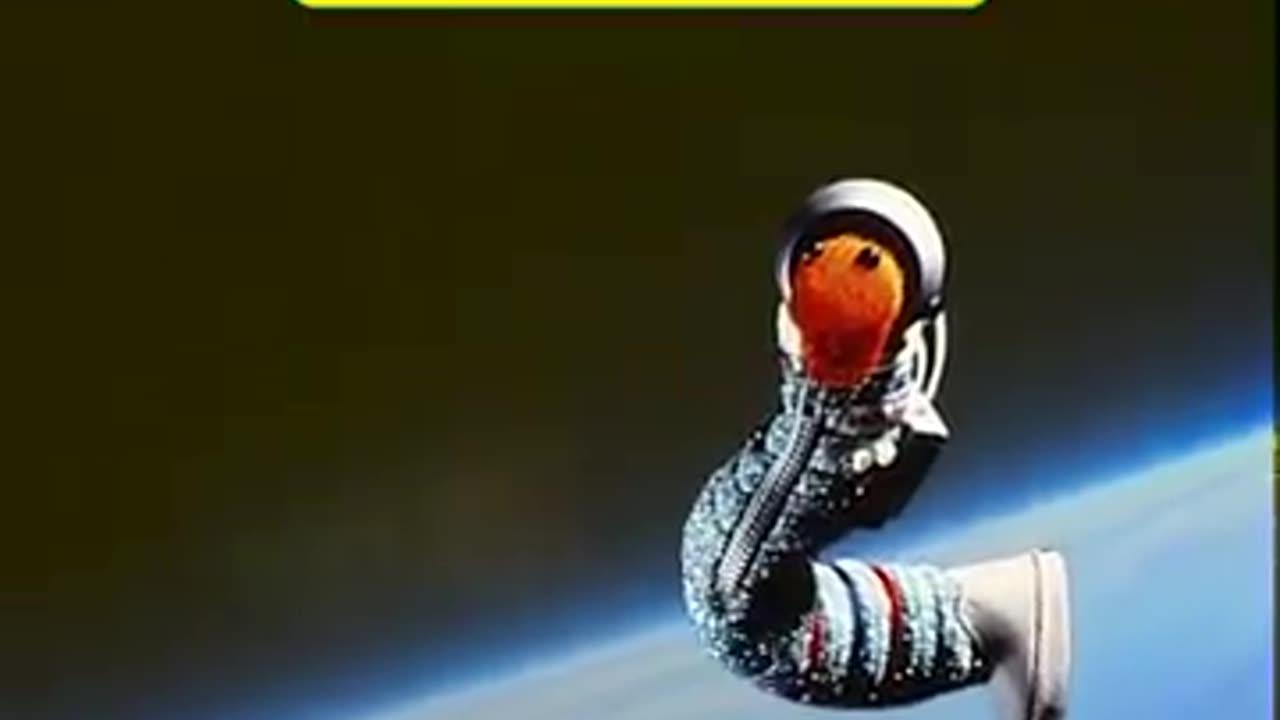 NASA Astronaut Returns Sesame Street Mementos Flown on Orion Spacecraft (Slimey the Worm)