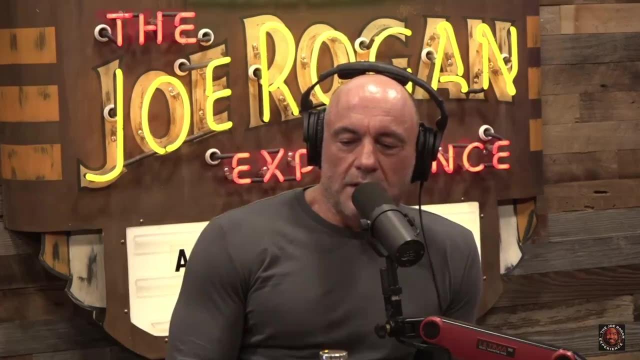 Rogan's right about what they are doing to President Trump