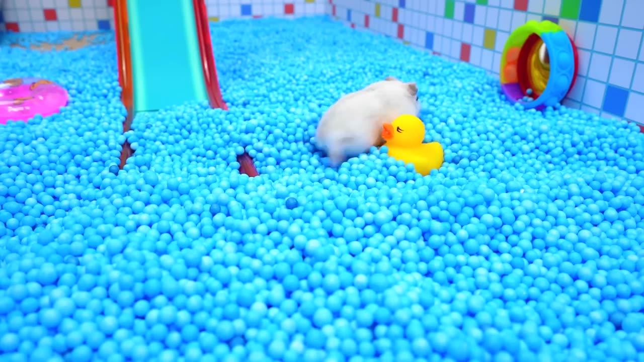 The Awesome Hamster Ball Pool Maze