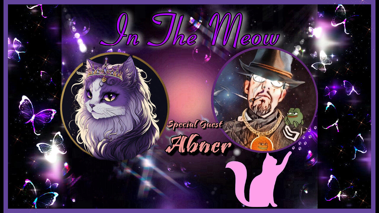In The Meow | With Special Guest Abner