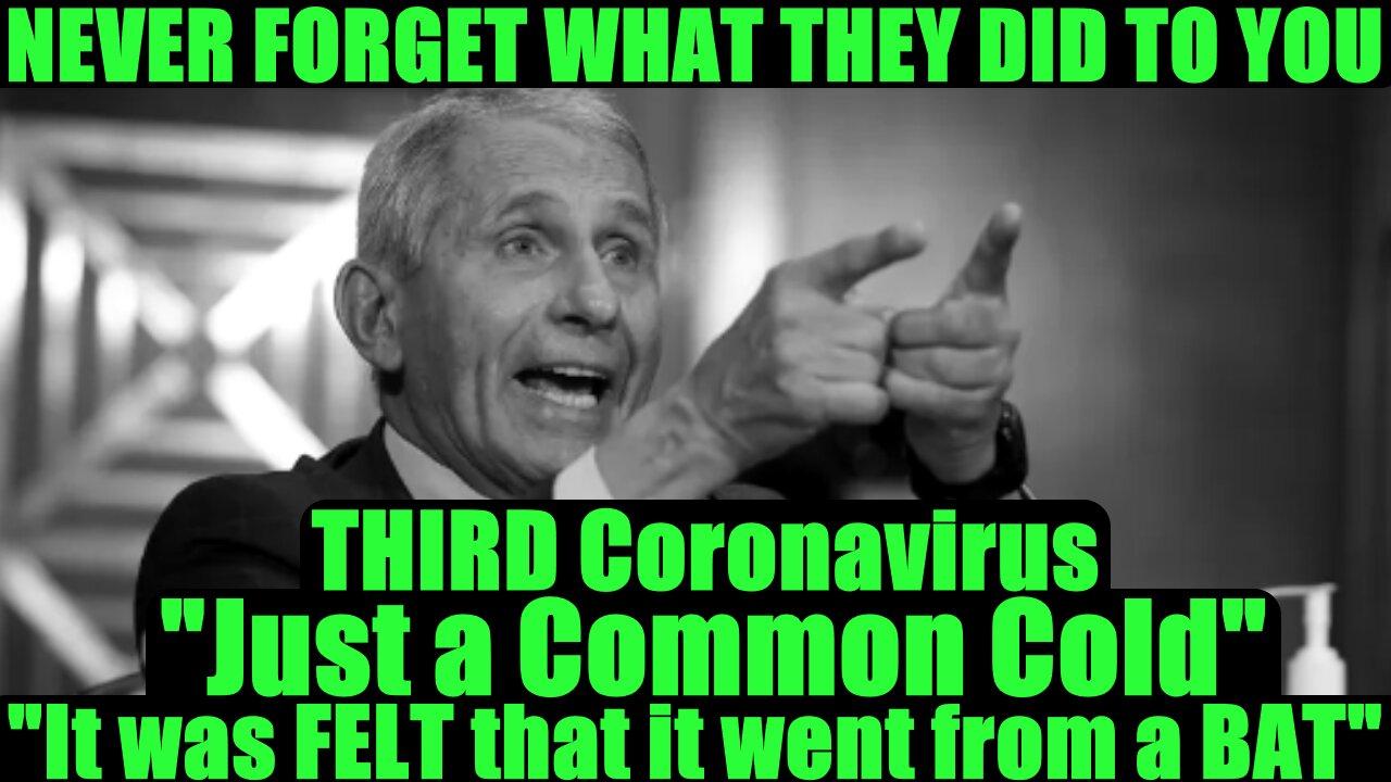 Fauci RECAP: THIRD Coronavirus "Just a Common Cold" "It was FELT that it went from a BAT"  -- February 11, 2