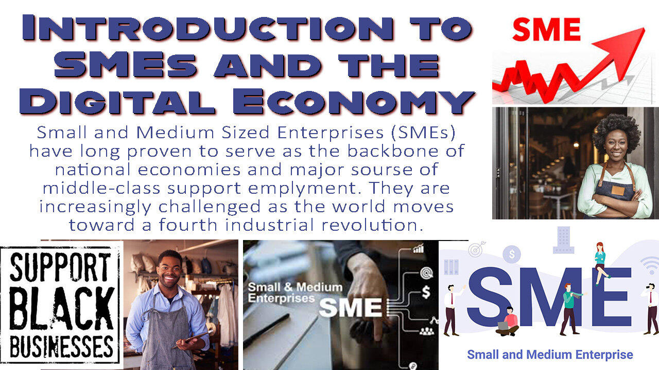 Introduction to SMEs and the Digital Economy