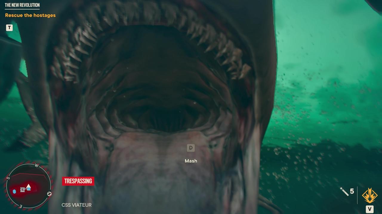 Mission failed due to shark attack !!!
