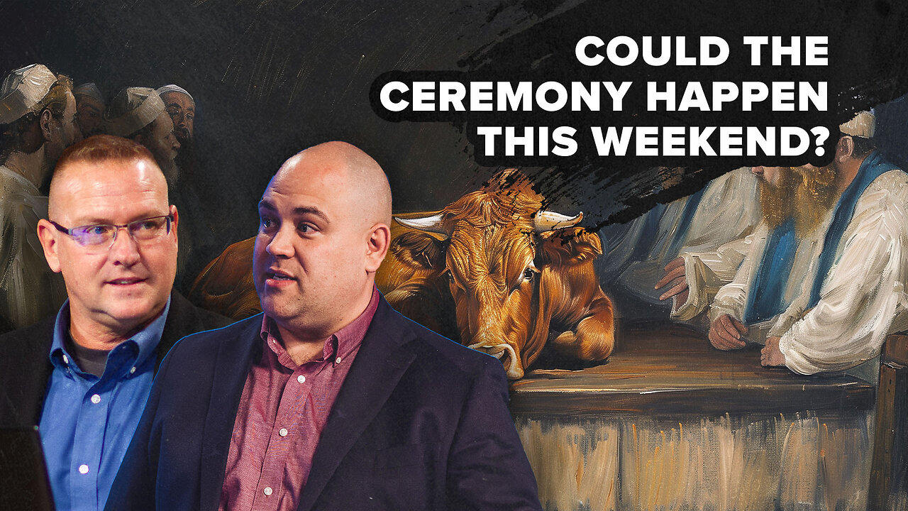 Red Heifer Ceremony This Weekend?