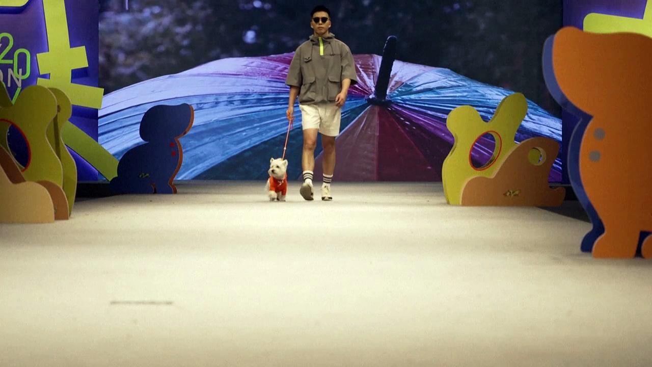 Chinese animal lovers attend pet fashion show