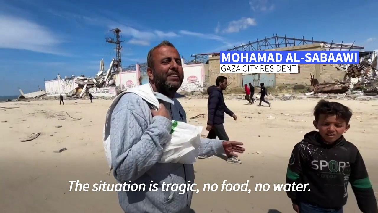 'People are dying for a can of tuna': Gazans scramble for aid