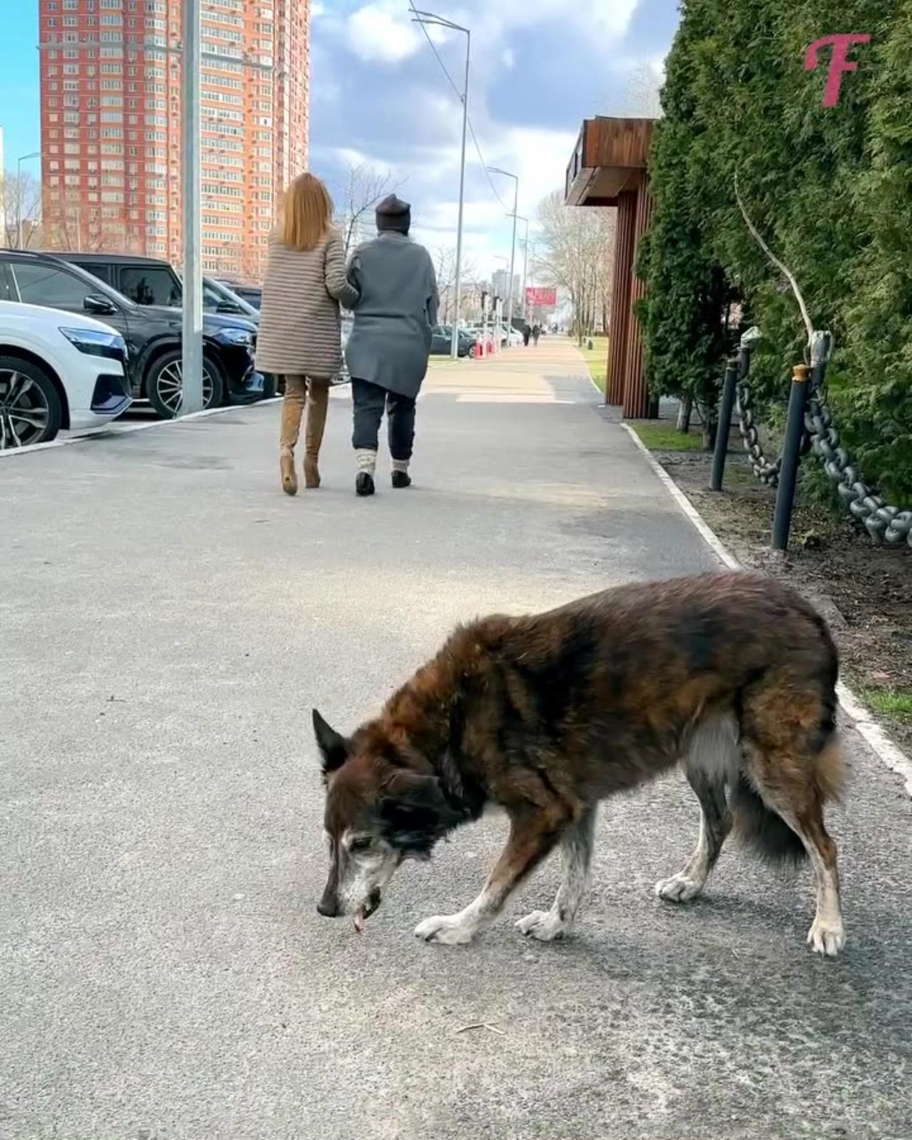 Milwaukee's Craigslist: The Most Heartwarming Act Of Kindness I Witnessed.