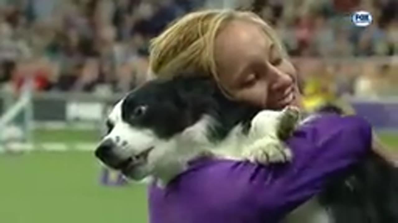 Pink the border collie wins back-to-back titles at the 2024 WKC Maste Agriliti