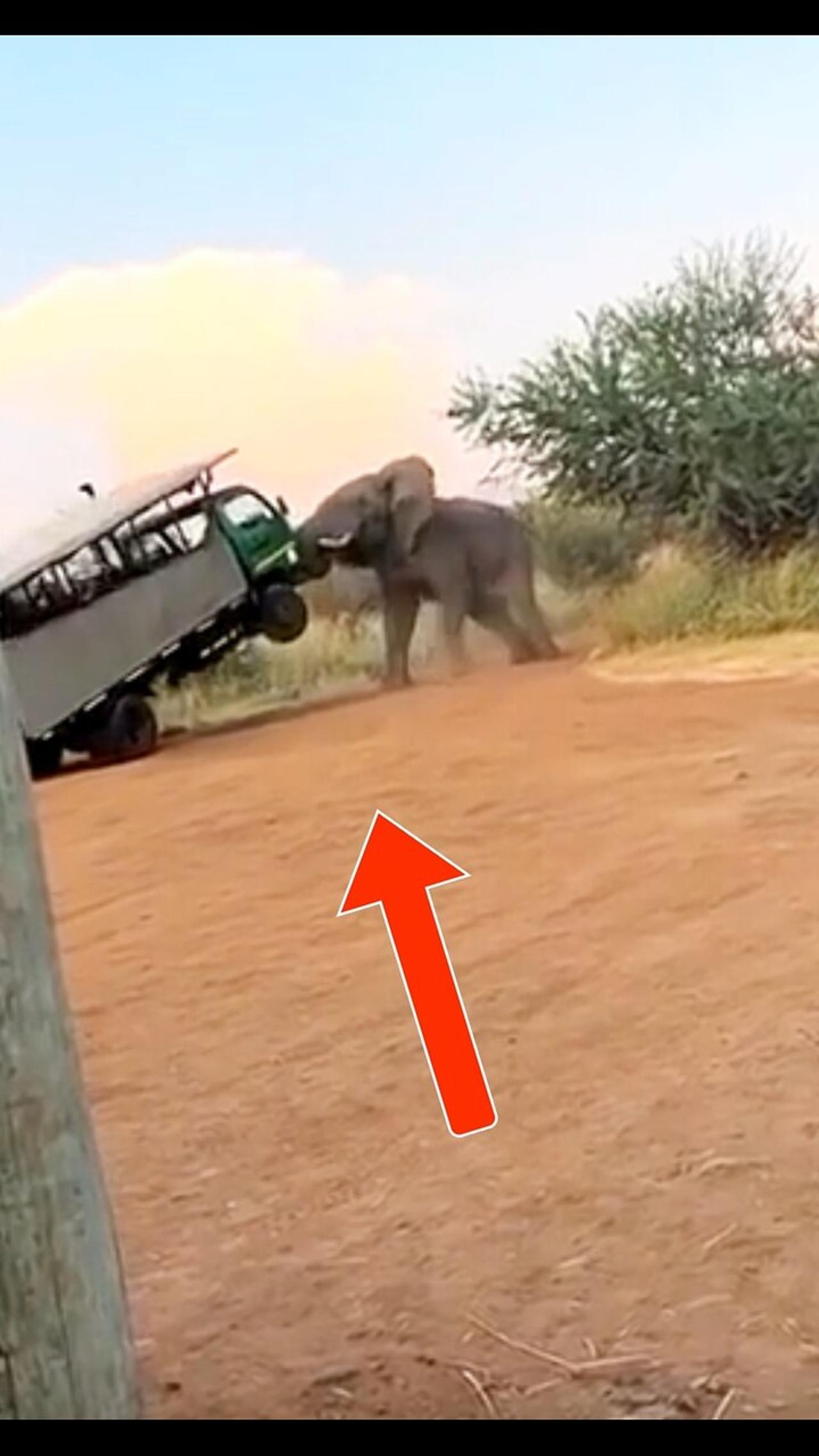 African Bull Elephant VS Safari Truck
