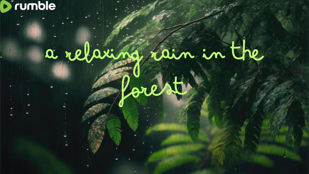 A relaxing rain in the forest