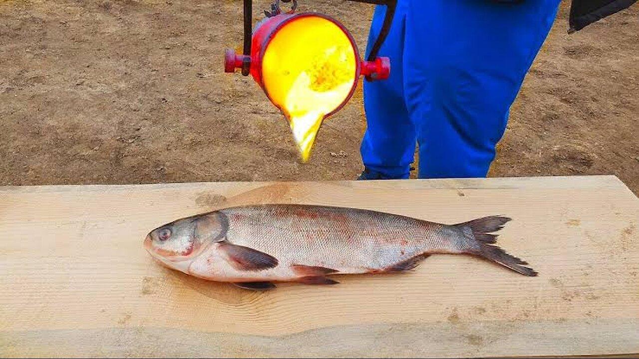 EXPERIMENT LAVA vs FISH