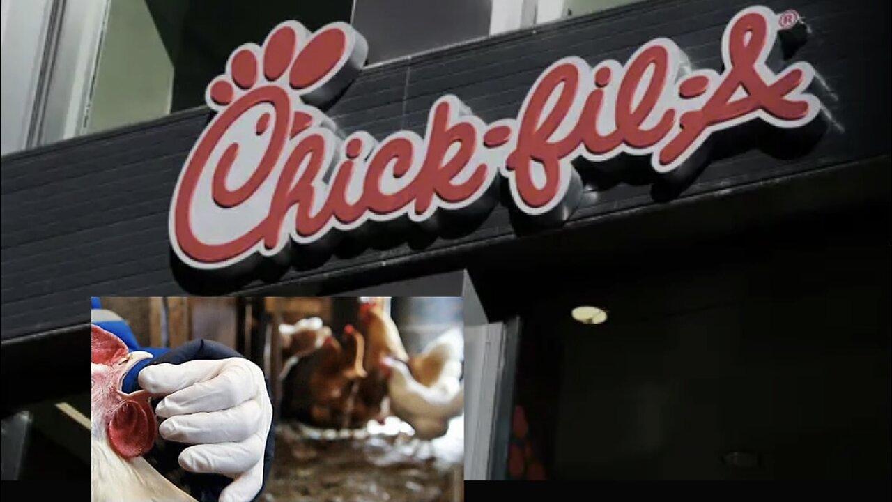 Chick-fil-A says it's going back to antibiotics in chicken, after all