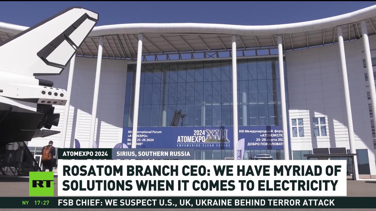 We have various solutions when it comes to electricity – Rosatom branch CEO