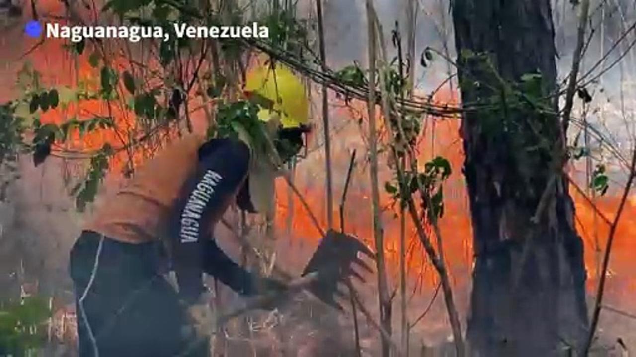 Fighting wildfires in Venezuela as blaze reaches national parks