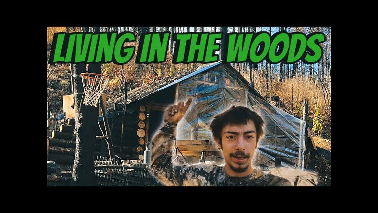 Building a Cabin in “Little Alaska” with my Dawg Day 48