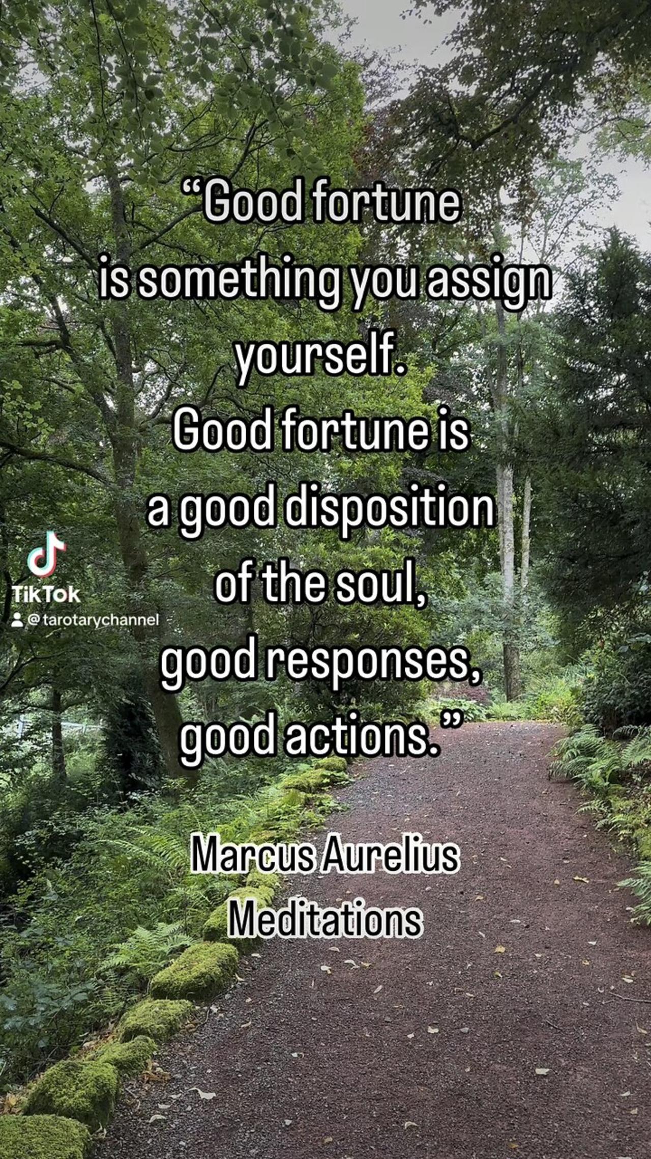 Good fortune-Marcus Aurelius #meditations #marcusaurelius #tarotary #goodfortune #soul #gooddecions
