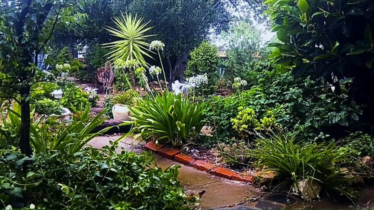 HEAVY Rainfall on a verandah - Australian Country Garden.