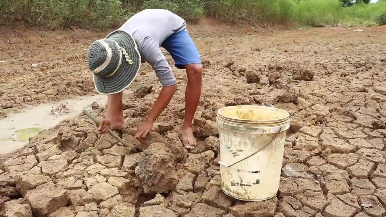 Man Catching Giant Catfish In Dry Season
