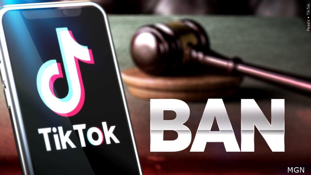 Who Supports Tiktok Ban In The US?