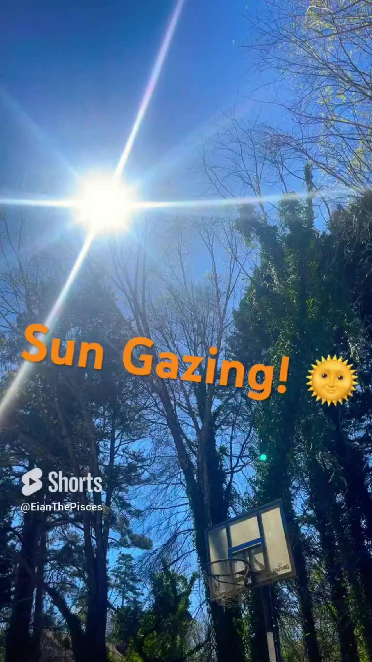 Sun Gazing Cellular Activation #fyp #shorts