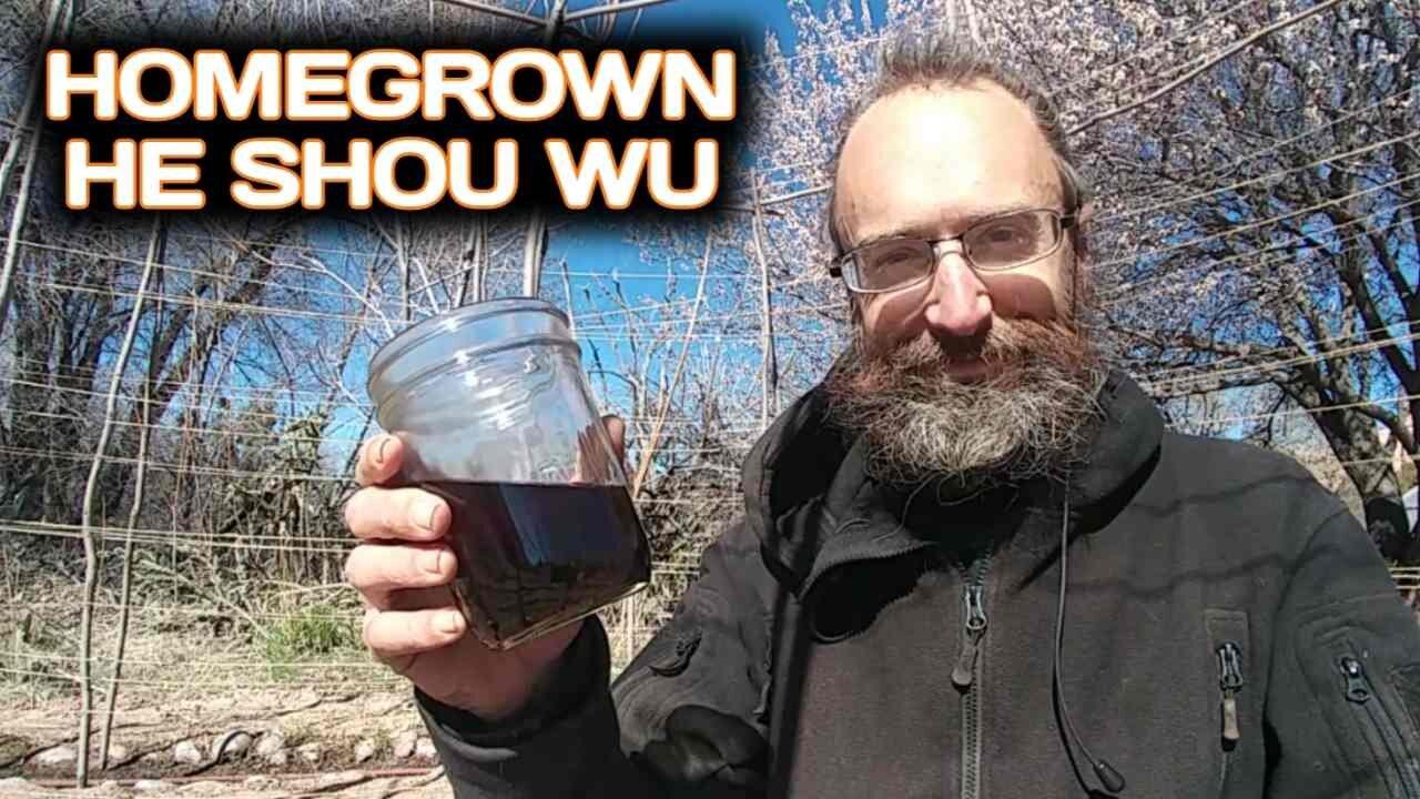 Homegrown He Shou Wu